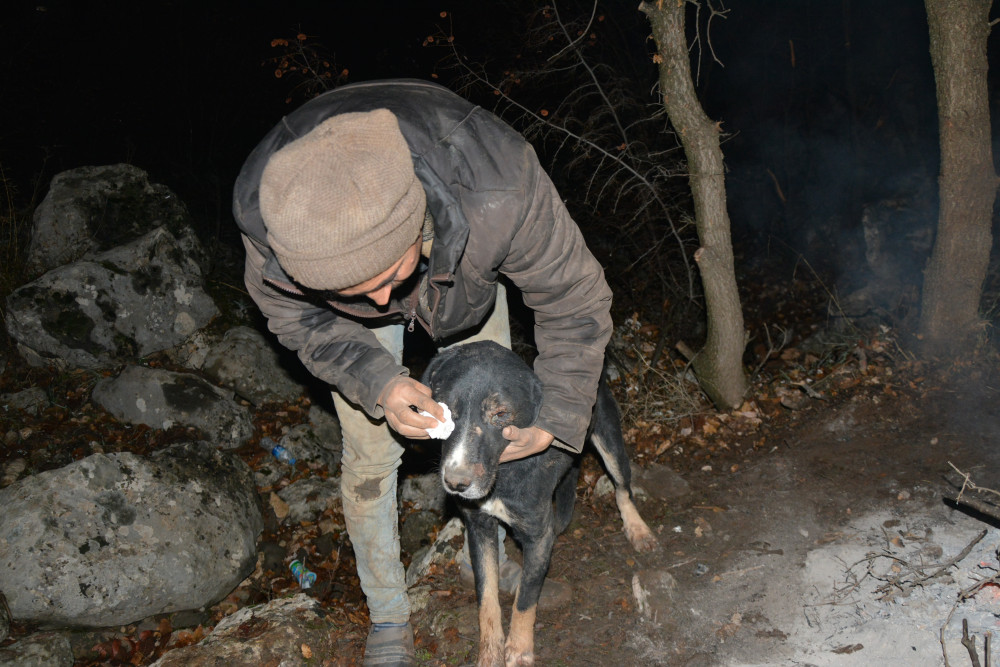 Sahibi kayalıktan kurtarılan köpeğine sarıldı