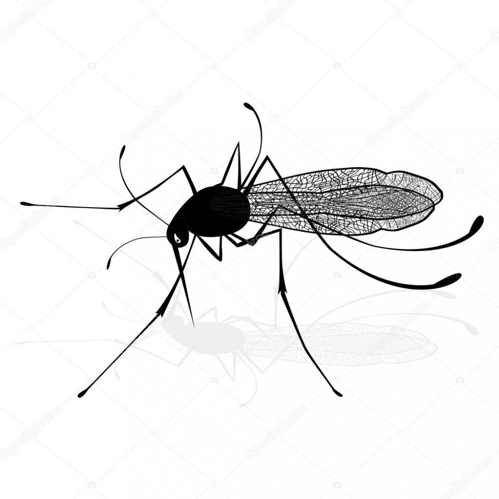Arı-böcek ve sivrisinek sokmalarına karşı alınması gereken önlemler