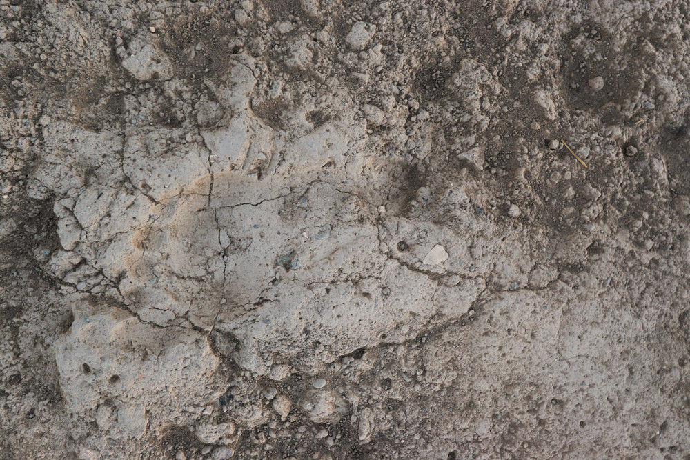 İşte Van Kalesinde bulunan Urartu ayak izi