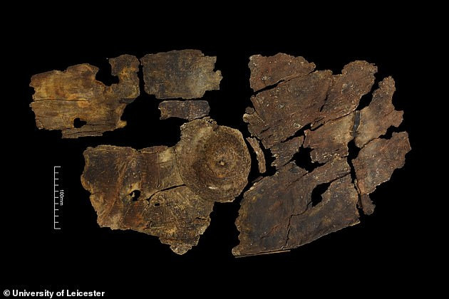 2300 yıllık Ağaç kabuğu Kelt kalkanı şaşırttı