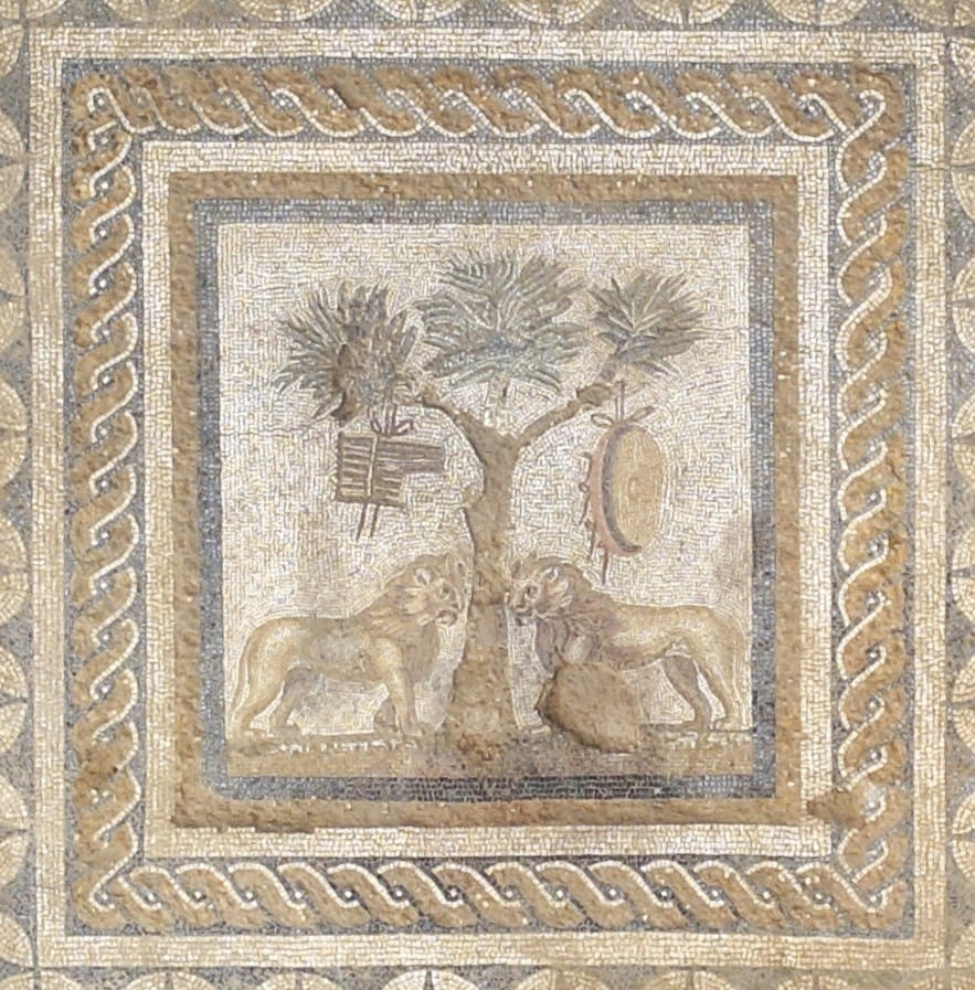 Düzcede çift aslanlı mozaik bulundu