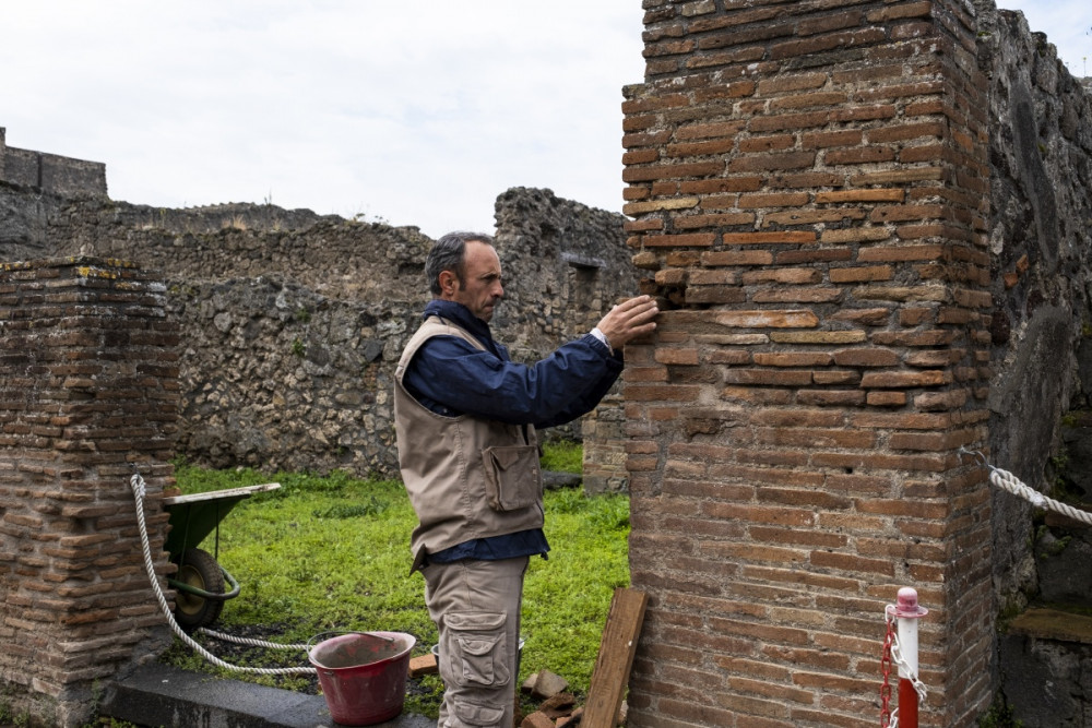 Pompeii çiftliğiliğinde çim biçme makinesi yerine koyun kullanılıyor