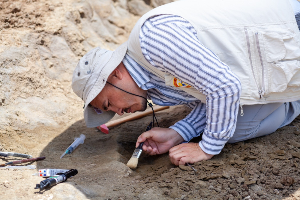 Çankırının 28 milyon yıllık dev gergedanında ait yeni fosiller bulundu