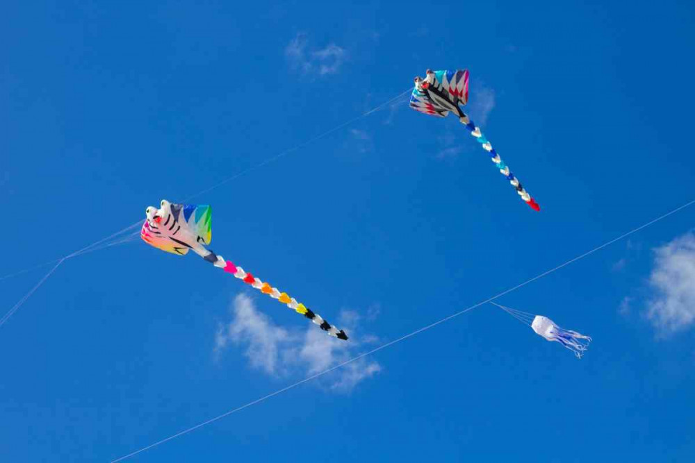 Hollandada uçurtma festivali gökyünü şenlendirdi