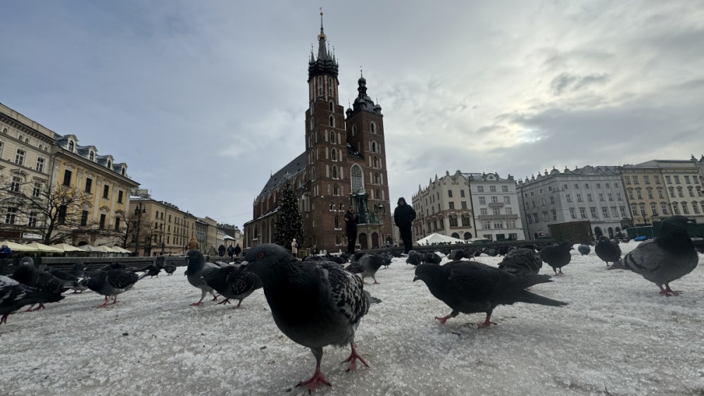 Polonyanın kalbi: Krakow kenti