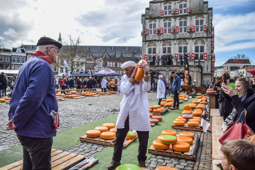 Ünlü Hollanda Peynir Pazarında yılın ilk ürünleri satışa çıktı