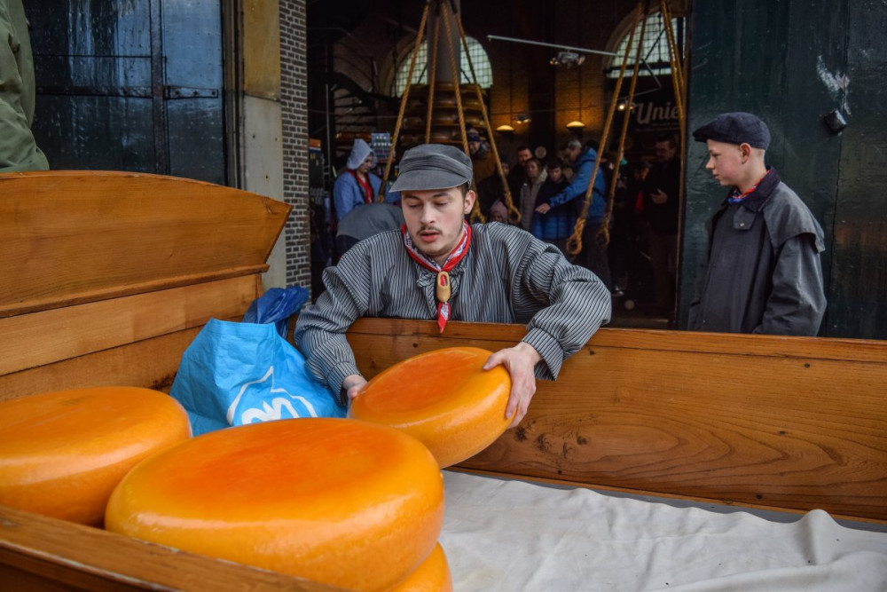 Ünlü Hollanda Peynir Pazarında yılın ilk ürünleri satışa çıktı