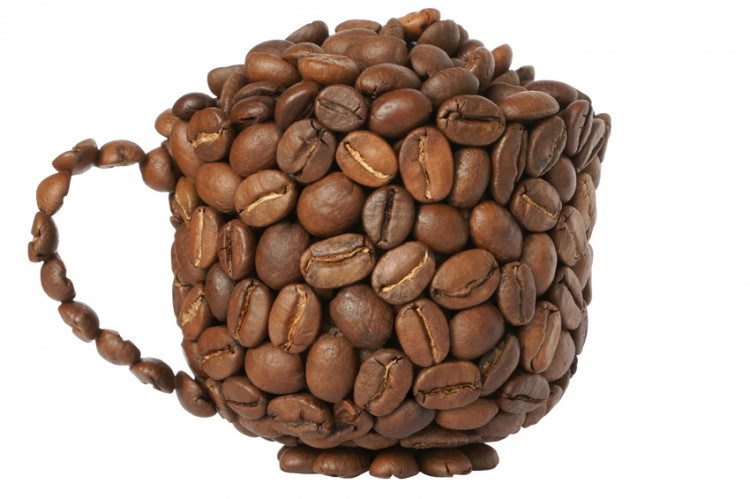 Cenk R. Girginol, topraktan fincana kahveyi anlatacak Kültür Sanat