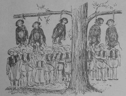 Osmanli Devrinde Idam Edilen Maymunlar Yasam