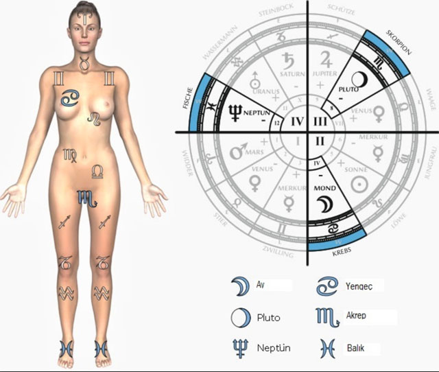 Burclara Gore Saglik Ve Potansiyel Hastaliklar Astroloji