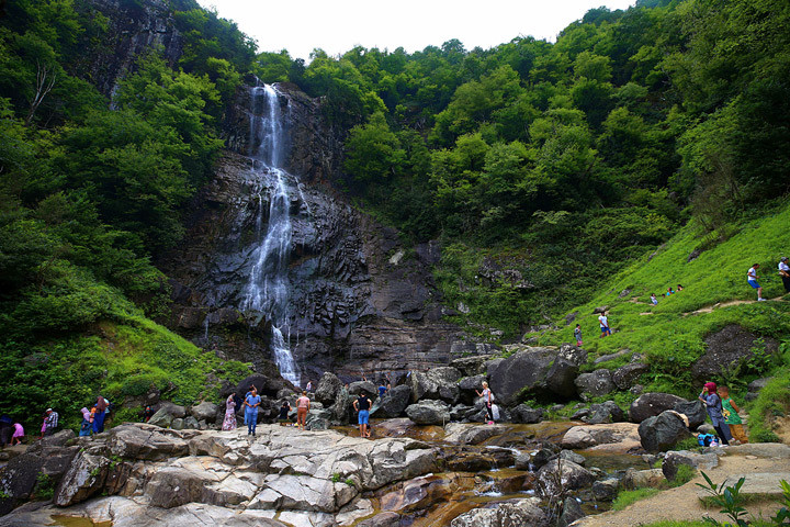 Artvindeki Mençuna Şelalesi