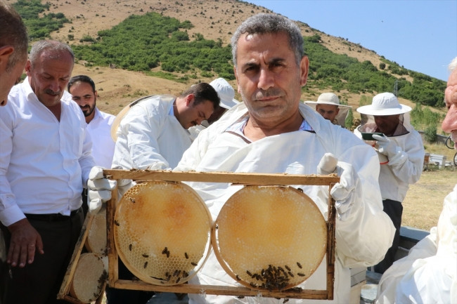 Huzurlu yaylalarda ilk bal hasadı