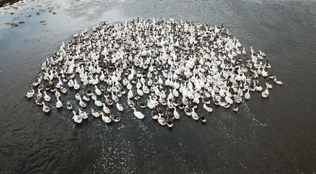 Tatilcilerden 2 milyar liralık gelir beklentisi