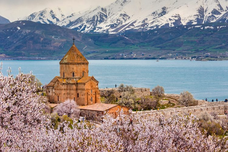 Vanda güzel fotoğraf çekmenin püf noktaları