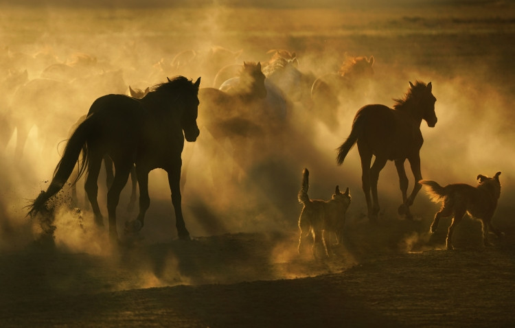 Kadın Gözüyle Hayattan Kareler fotoğraf sergisi