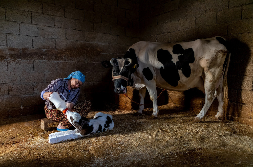 Aksa Enerji Kıbrıs Fotofest yarışmasında ödüller açıklandı