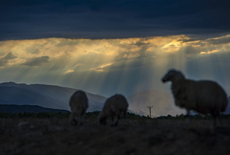 Munzur Dağında günbatımı ve kar manzaraları