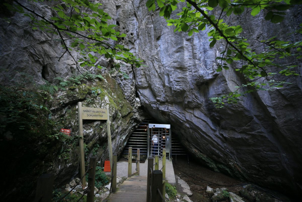 Kırklarelineki Dupnisa Mağarası 16 tür yarasa barındırıyor