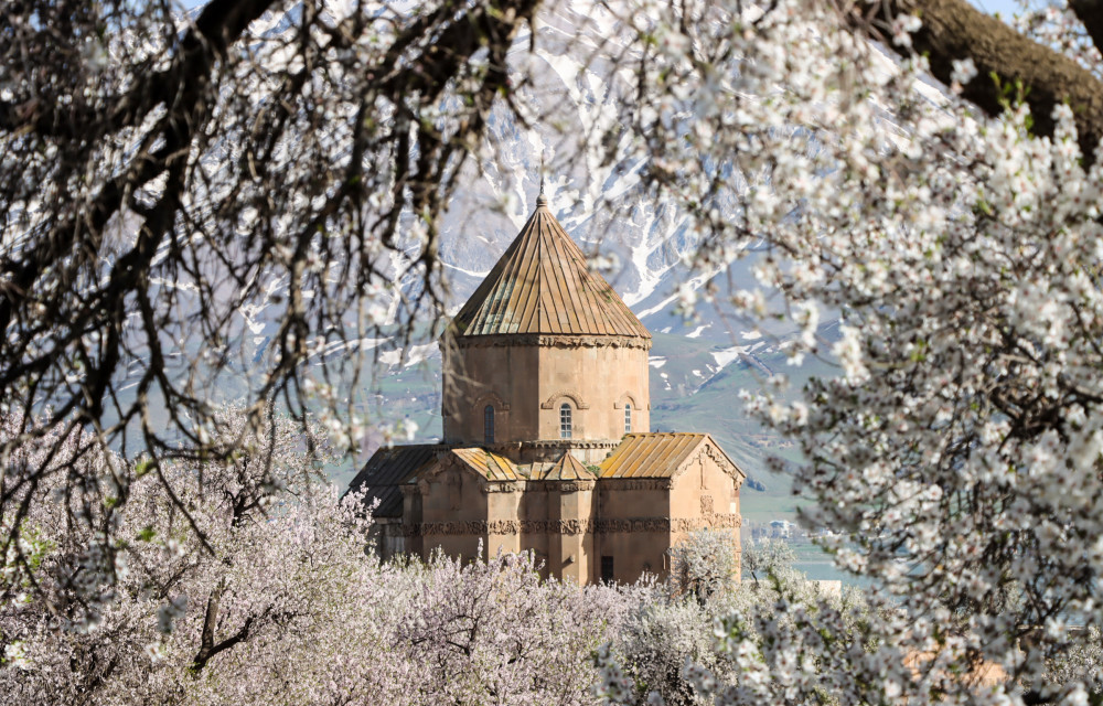 Akdamar Adası, badem çiçekleri ile şenlendi