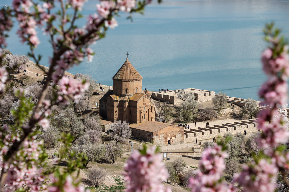 Akdamar Adası, badem çiçekleri ile şenlendi