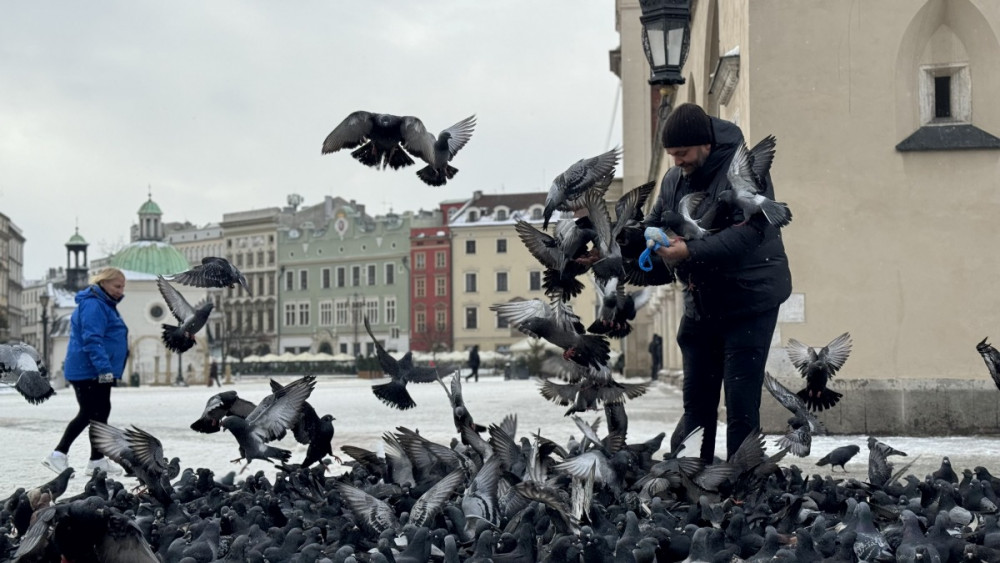 Polonyanın kalbi: Krakow kenti