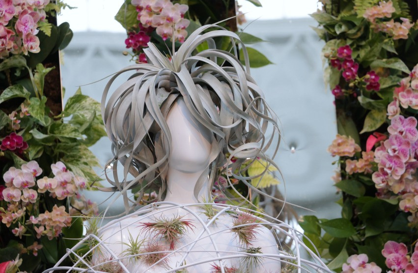 Orkideli moda sergisi: The Orchid Show - Florals in Fashion