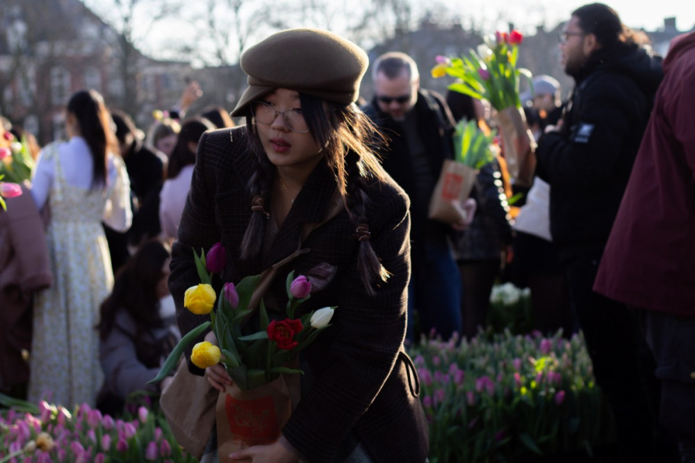 Hollandada Lale Mevsimi bu görüntülerle başladı