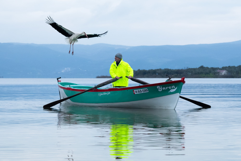 Yaren Leylek göçten böyle geri döndü
