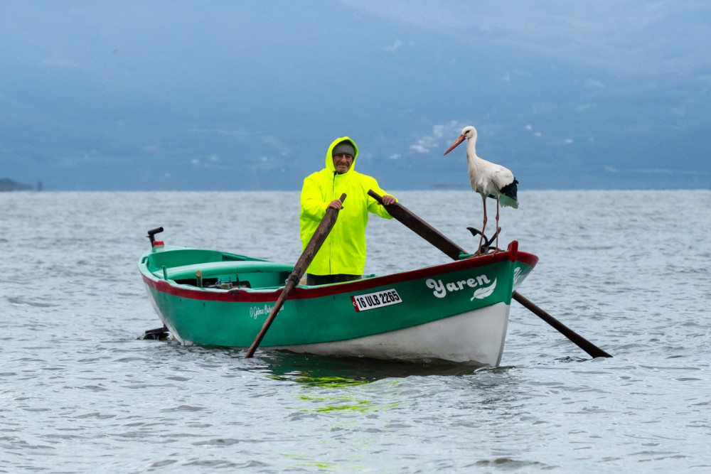 Yaren Leylek göçten böyle geri döndü
